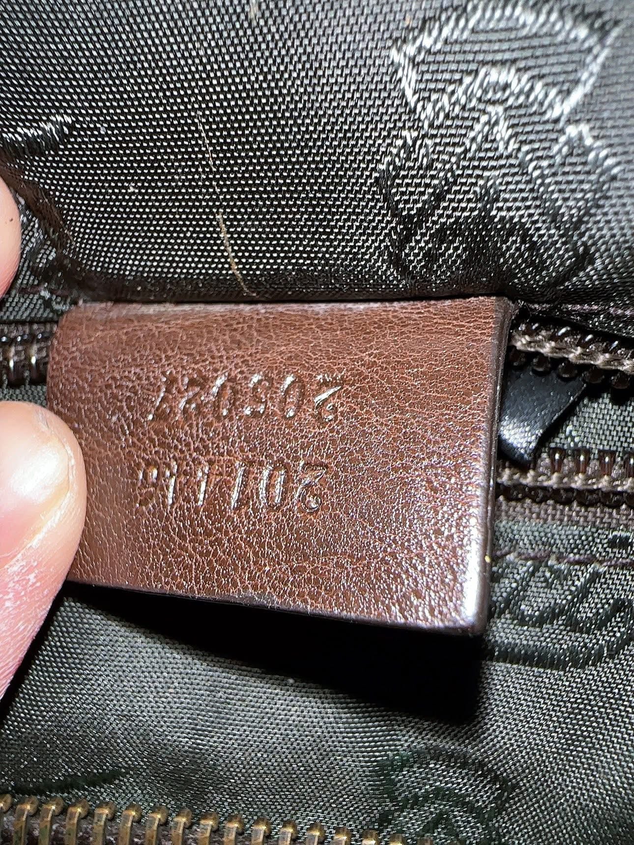 Monogram crossbody image 1