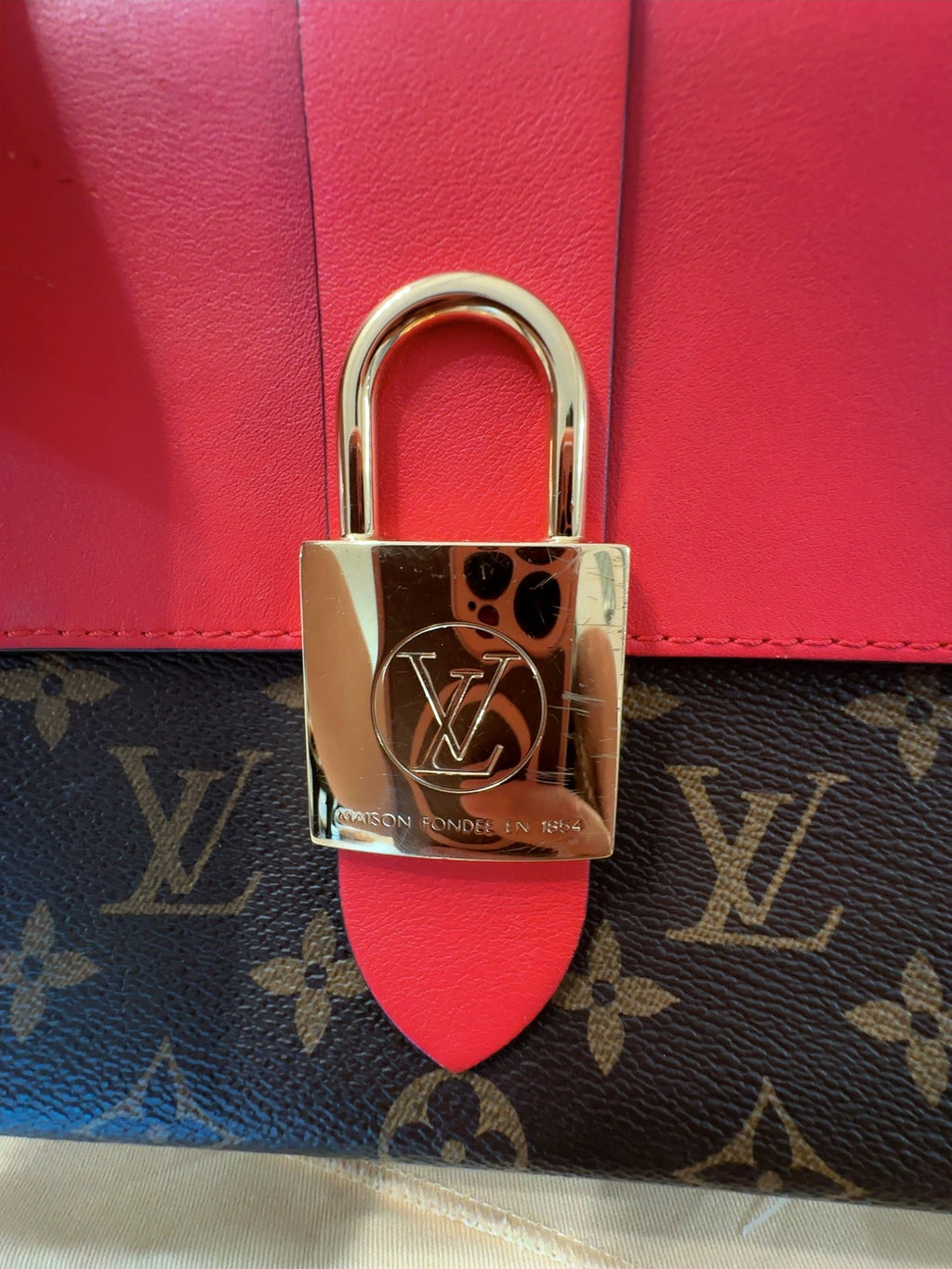 Locky BB (MICROCHIPPED)