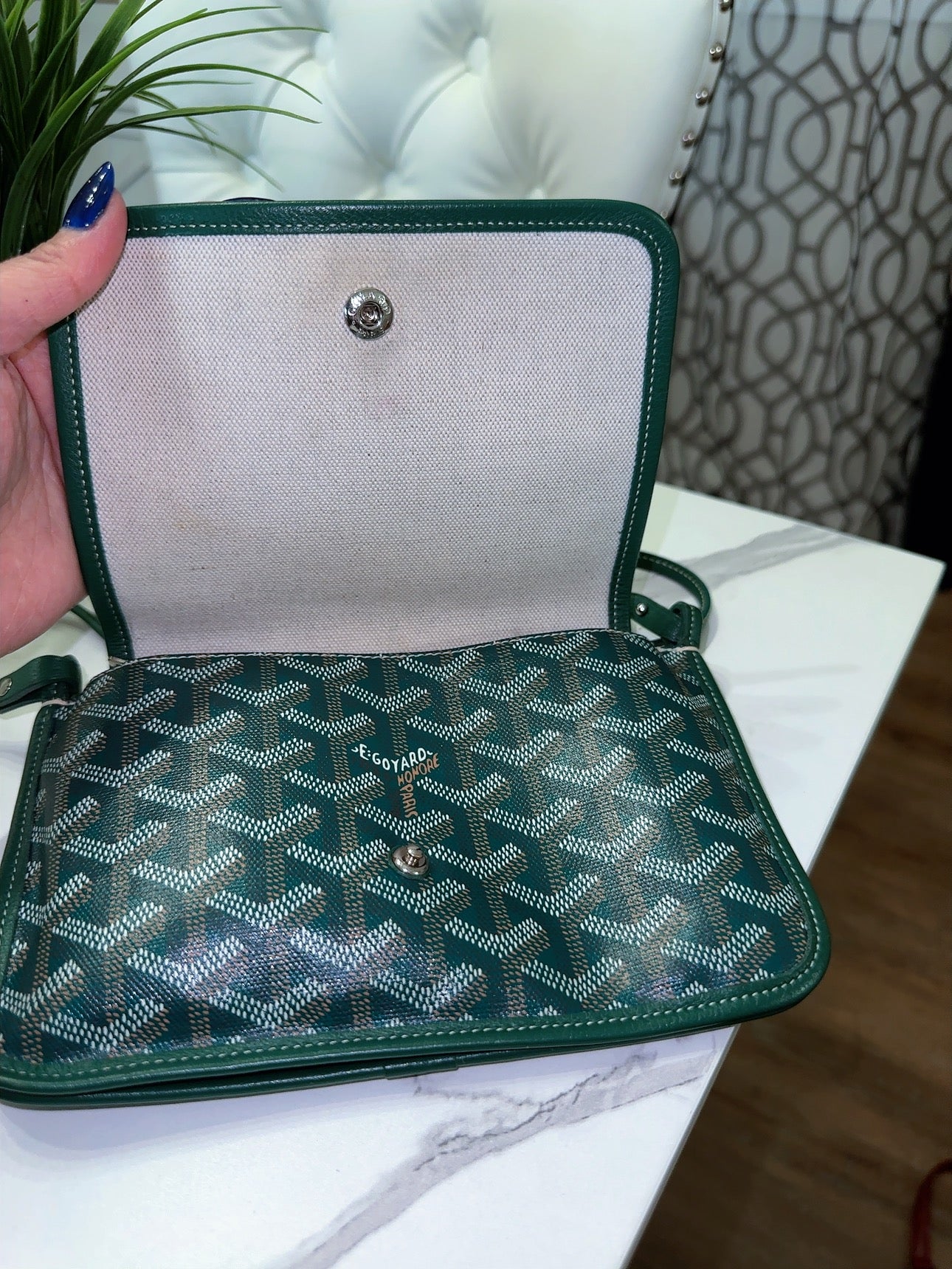Goyardine Plumet