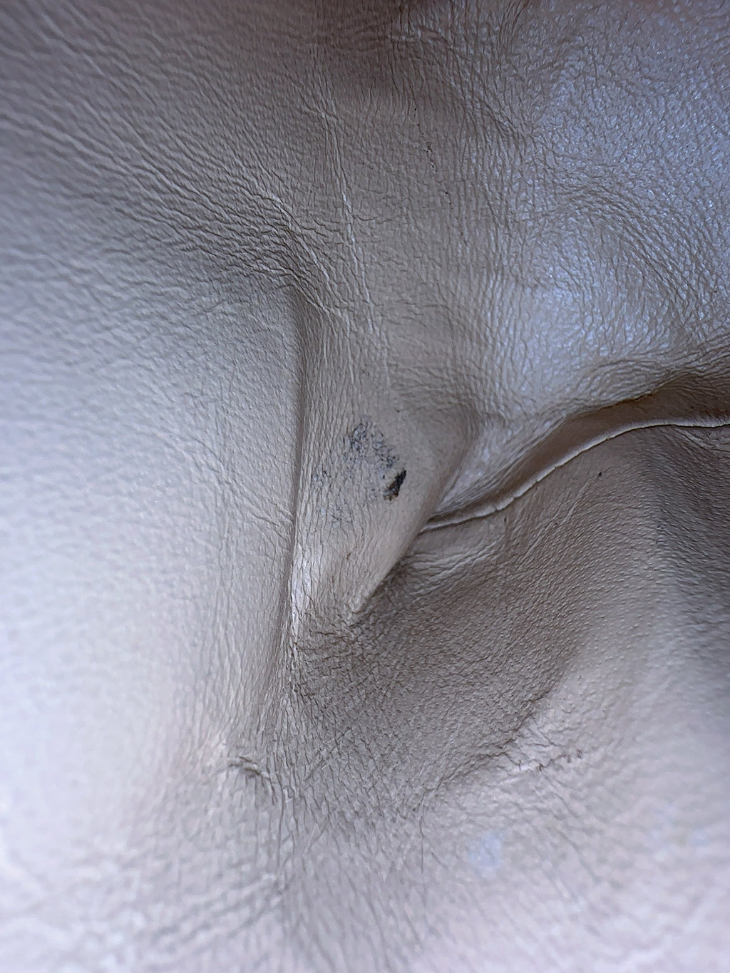 Chanel Bicolor Tote image 2