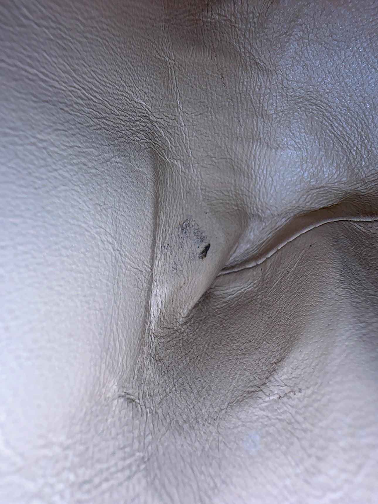 Chanel Bicolor Tote image 2